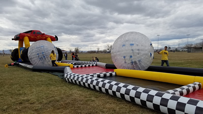 hamster balls image 5