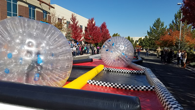 hamster balls image 8