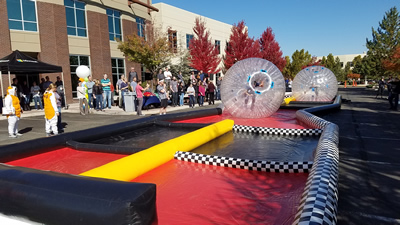 hamster balls image 9